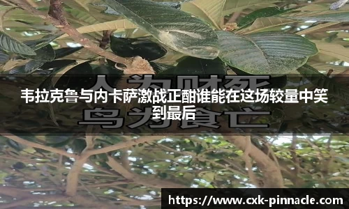 韦拉克鲁与内卡萨激战正酣谁能在这场较量中笑到最后